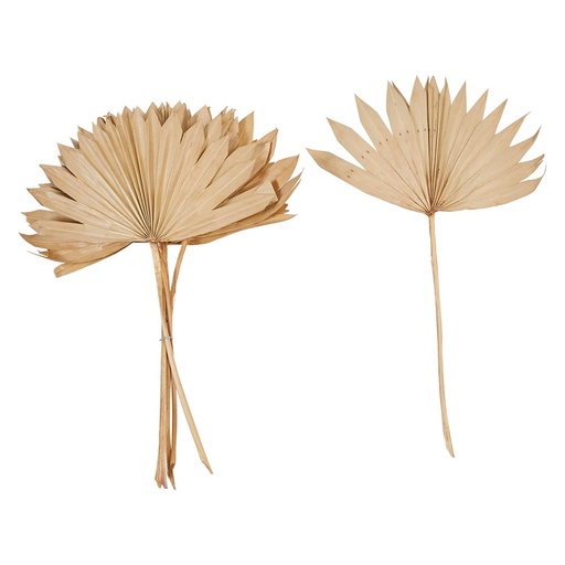[DF2230] 21"H Dried Natural Palm Bunch