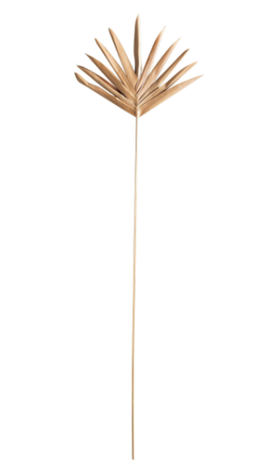 [DF3877] 36"H Large Lady Finger Pick
