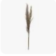 [DF2581] Planta Artificial 43-1/4"H Dried Natural Pampas